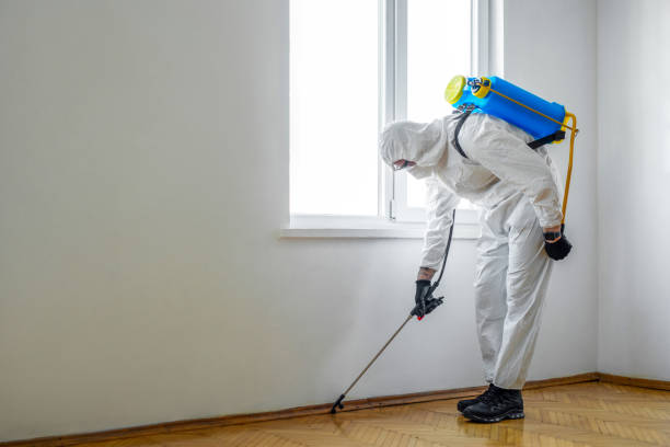 Pest Control for Hotels in East Mckeesport, PA